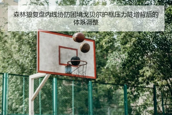 森林狼复盘内线协防困境戈贝尔护框压力陡增背后的体系调整